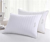 2-Pk Standard/Queen Marth Stewart Feather Pillow