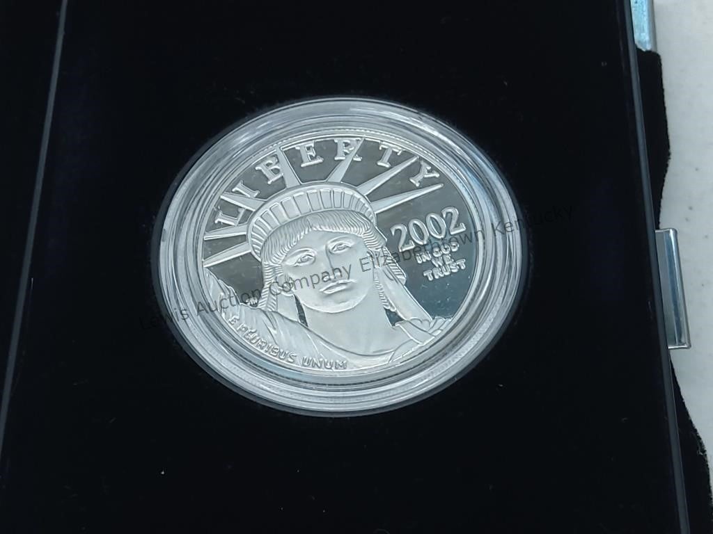 1 oz American Eagle platinum coin 2002