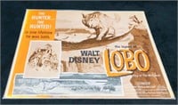 8 Lobby Cards Walt Disney The Legend Of Lobo King