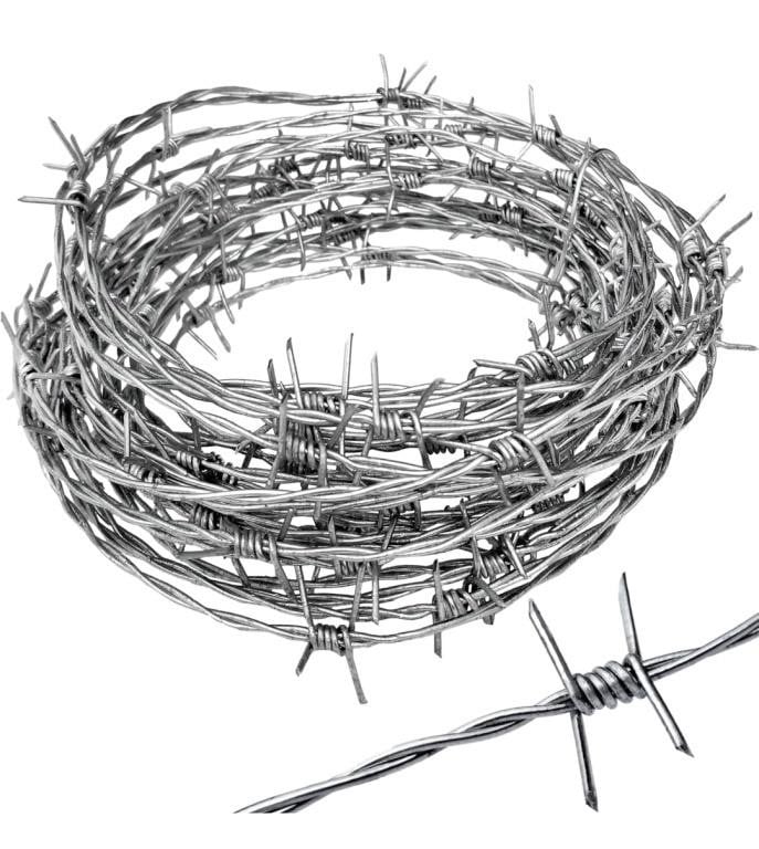 Real Barbed Wire 25ft 18 Gauge



Bm