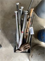 Group of bats & sporting equipment