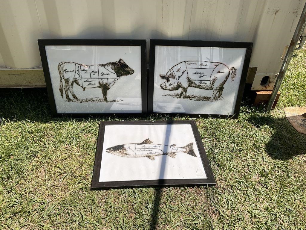 FISH, PIG AND COW PICTURES