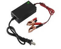 1.2A 12V Motorcycles Car Battery Charger, Smart