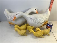 Plastic Ducks & Ducklings