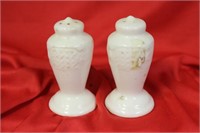 Set of 2 Salt and Pepper Shakers