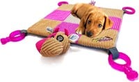 Puppy Teething Toy Mat 20x20 - Chew Ropes