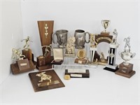 LOT OF TROPHIES