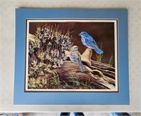 1993 Ltd Ed Print Mountain Bluebirds Gary Keimig