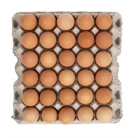 5 Dozen Fresh Free Range Eating Eggs