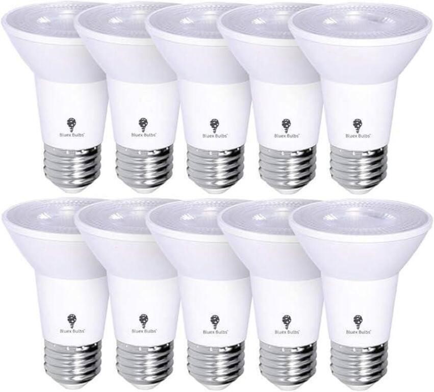 Outdoor LED Flood Bulbs - 10 Pack