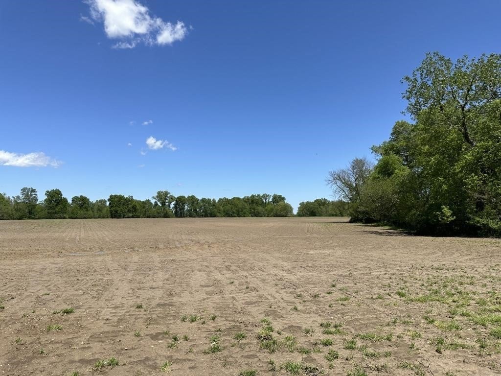 Effingham County Illinois Land Auction (194 Acres)