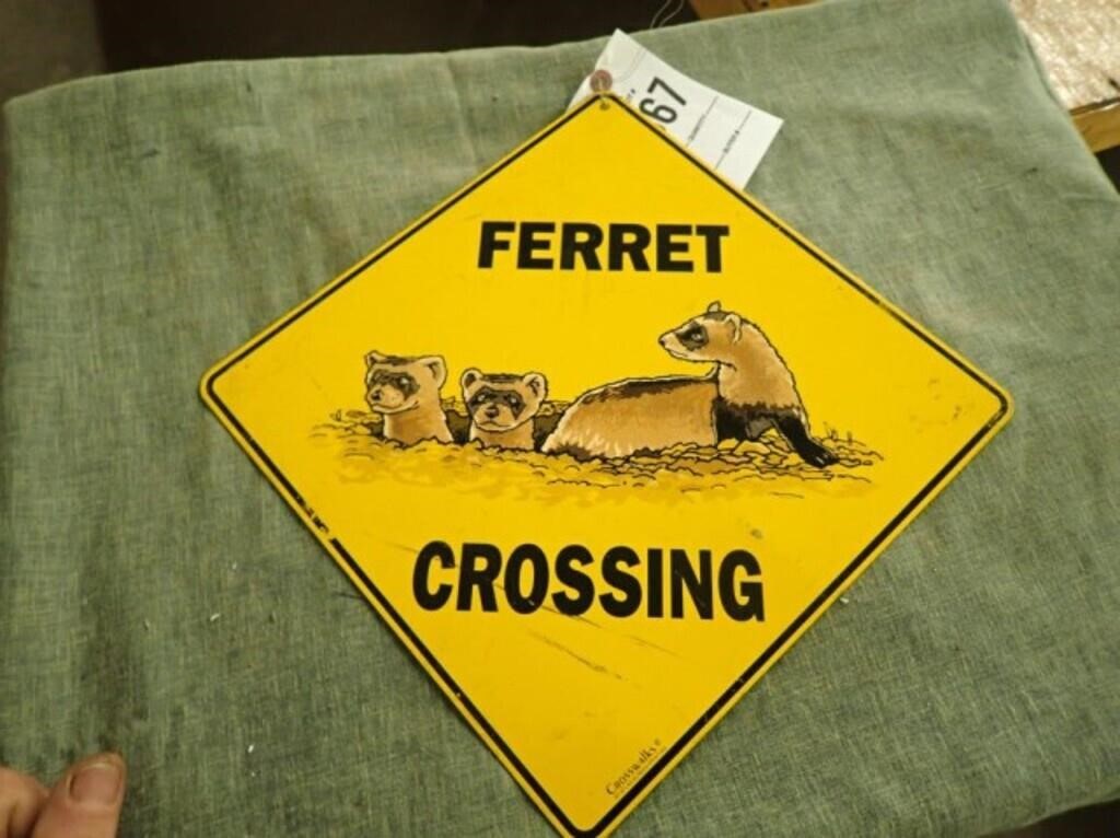 Ferret Crossing Metal Sign - 17"Wx16"H