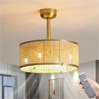 17.7" Caged Ceiling Fan with Lights