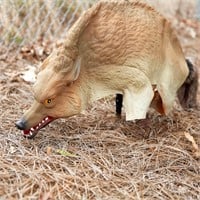 Bird-X Coyote Predator Bird Repellent
