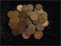 (48) Indian Head Pennies