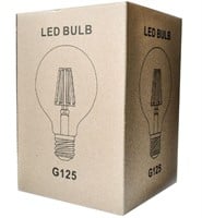 G125 LED Light Bulb with Warm White Micro LED