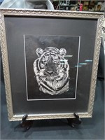 Scratchboard Tiger 8x10 Framed Print w/ Easel