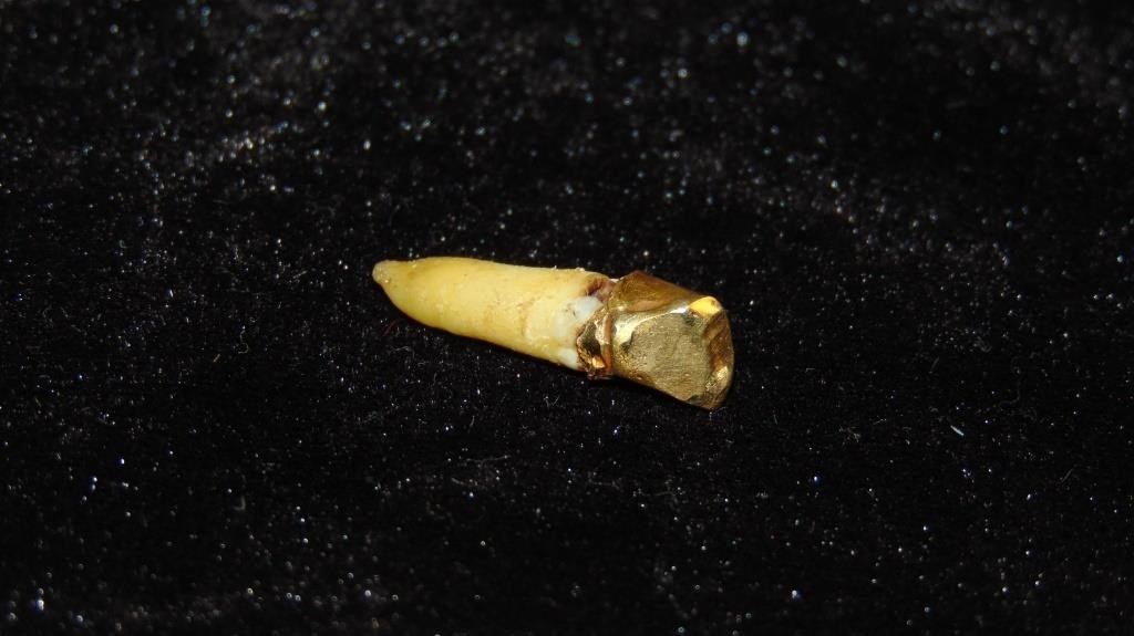 Gold Tooth~2g T.W.
