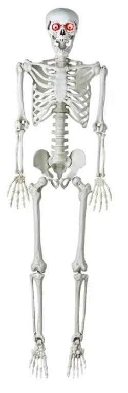 New Halloween 5.4FT Life-Size Skeleton,