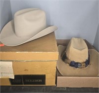 STETSON AND LEVIS HATS