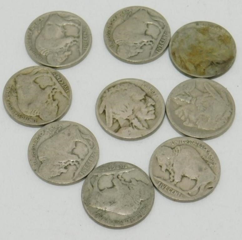 9 U.S. Buffalo Nickels