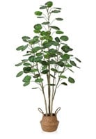 NEW 5' Artificial Aralia Balfour Tree, *Does not