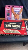 Ant farm & friendship bracelets