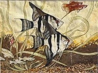 Stephen Sherrow, FISH Still-life, 15" x 20"