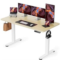 ErGear Height Adjustable Electric Standing Desk,