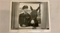 Vntg 8x10 “Francis Joins The WACS” Photo