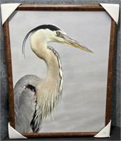 Great Blue Heron Portrait on Board Picture Framed