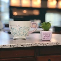 New Mothers Day Succulant and Bloom Tea Gift Set