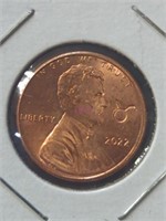 2022 Taurus penny
