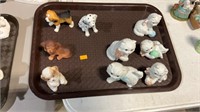 Dog and cats tray lot