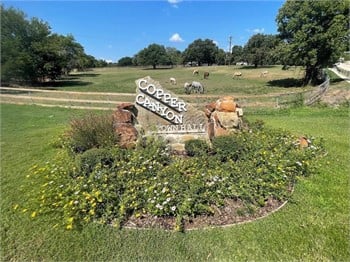 399 Woodland Drive, Copper Canyon TX 75077