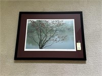 "Eastern Flowering Dogwood" Numbered & Signed A