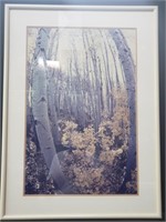 Framed distorted photograph of birch forest