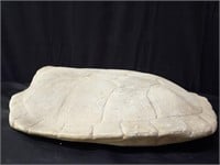 Ceramic turtle shell