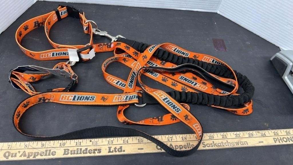 BC Lions Large Dog collar and Spring Leash