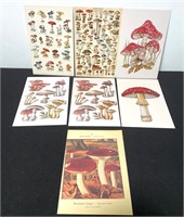Mushroom Print Lot