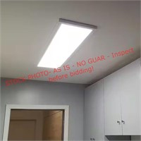 Commercial Electric 1ft X 4ft 250W Panel Light
