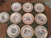 10 Lenox Bird plates with boxes look at pictures