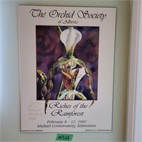 M328 the Orchid Society 97 poster