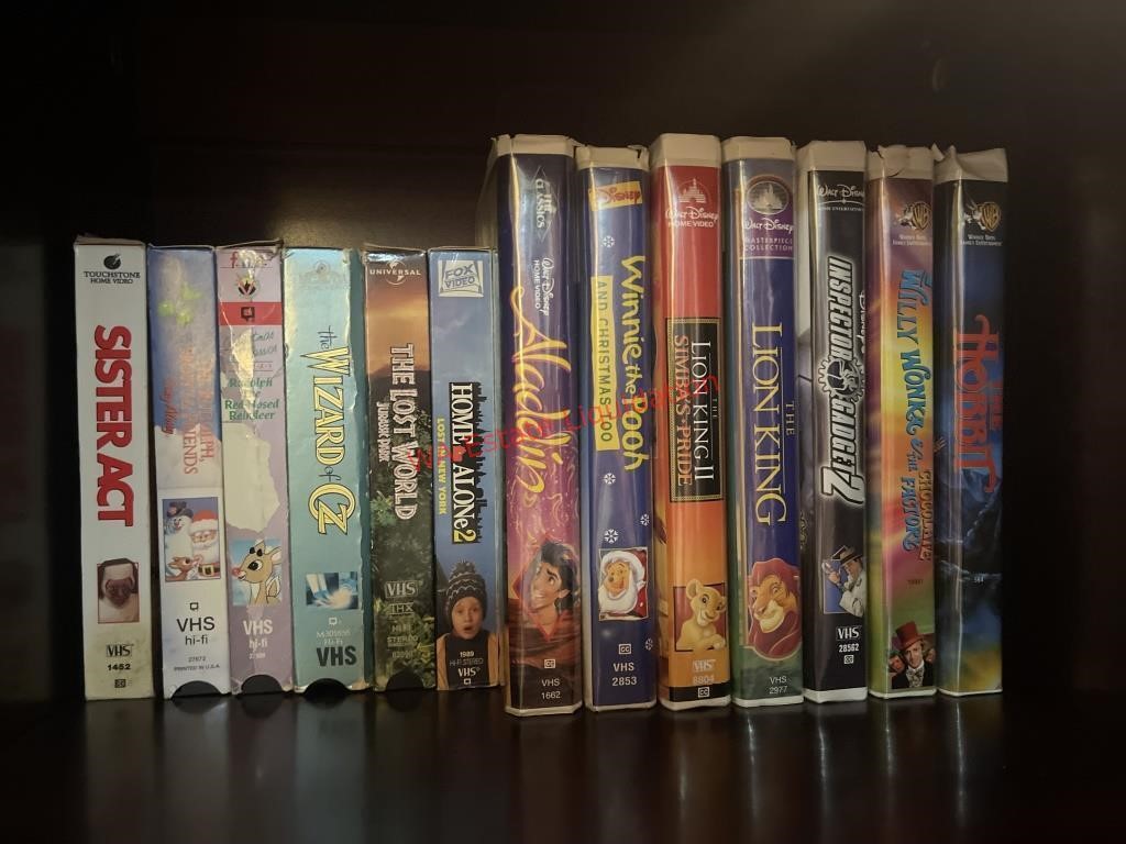 Kids VHS Lot.        (Living room)