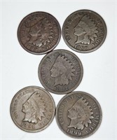 lot of Five Pre 1900 Indian Head Cents