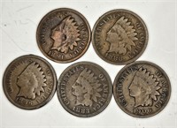 Lot of 5 Indian Head Cents -