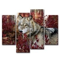 Wall Art Wolf in The Forest Pictures Prints On