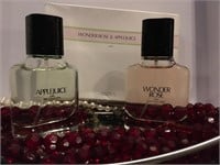 NIB 2 perfume bottles gift set 30ML