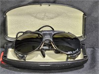 Cebe 485 Walter Cecchinel 4000 Glacier Sunglasses