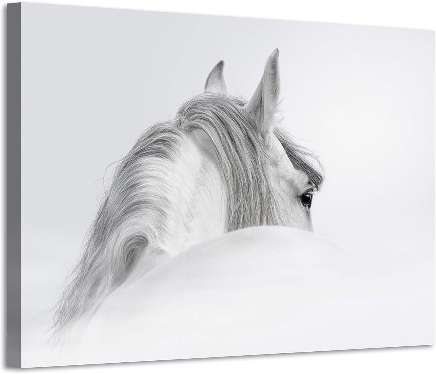 Horse Canvas Art: 36W x 24H Mystical Print